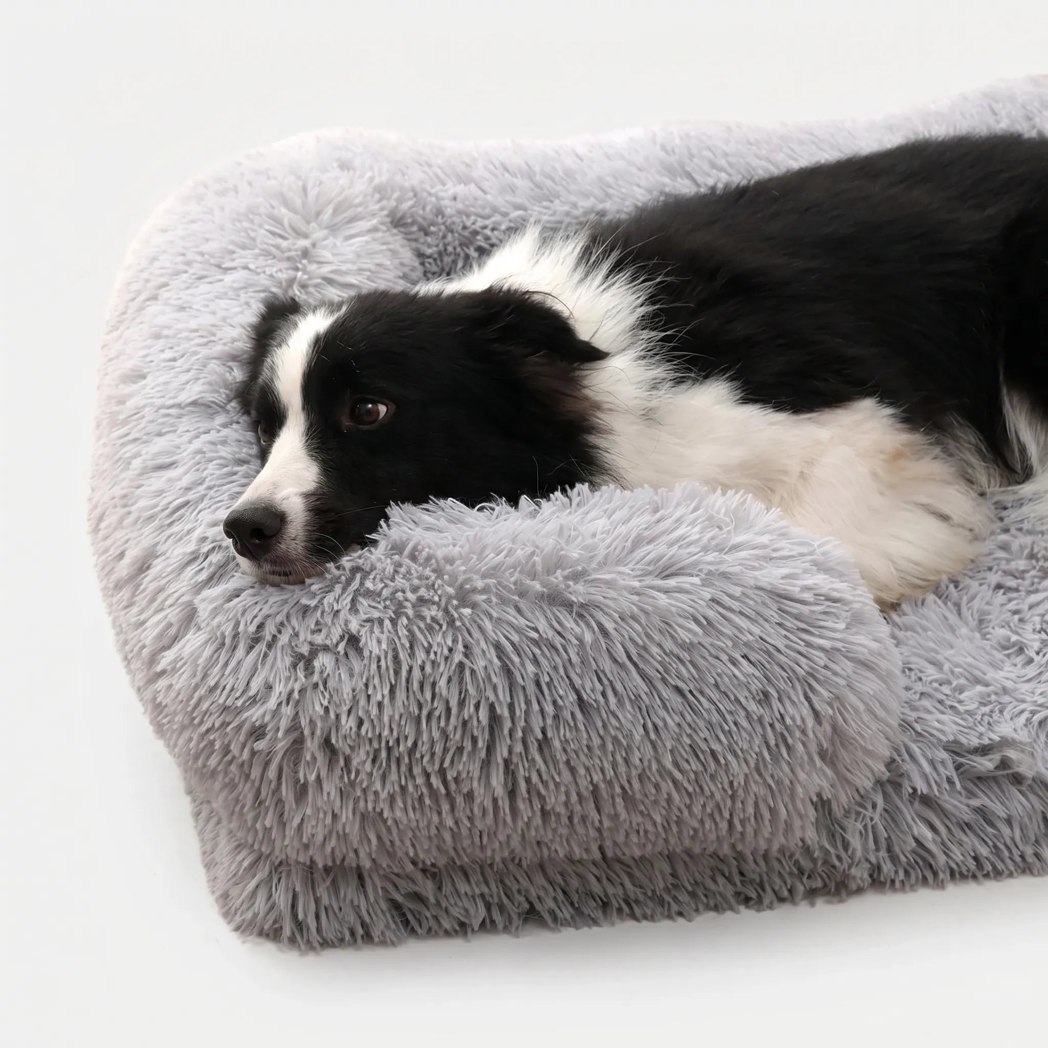 Firkantet Og Plysset Hundeseng