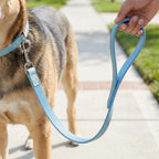 Flad Hundesnor