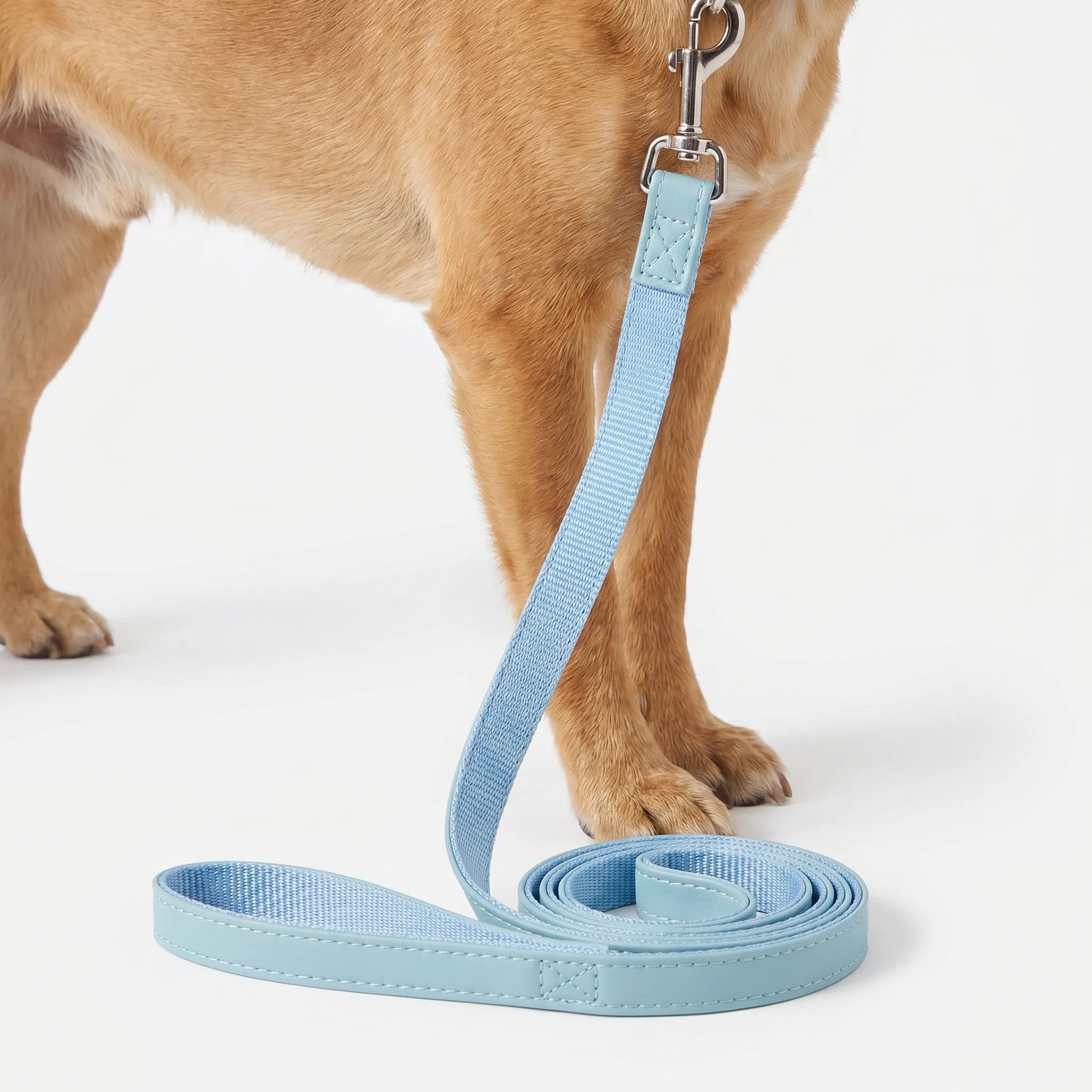 Flad Hundesnor