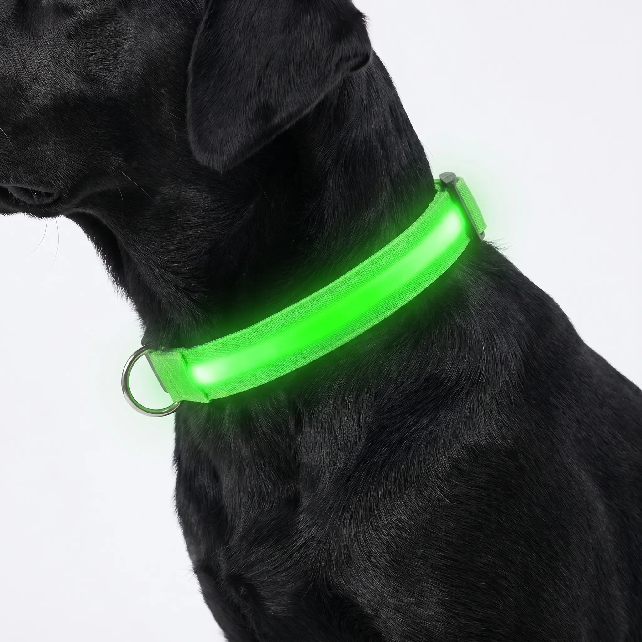 Genopladeligt LED Hundehalsbånd