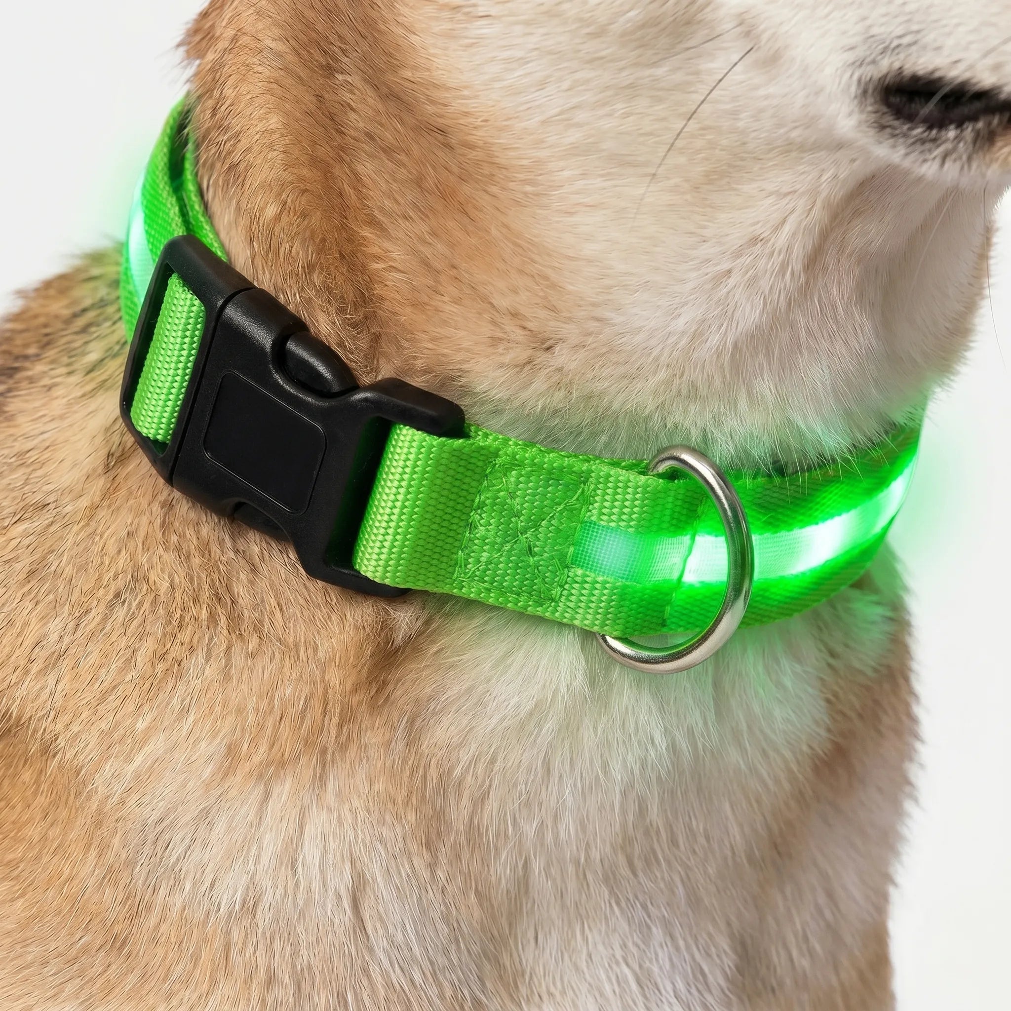 Genopladeligt LED Hundehalsbånd