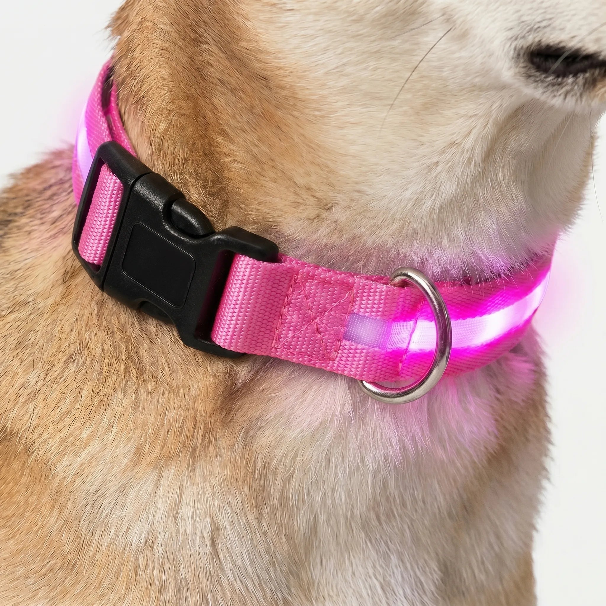 Genopladeligt LED Hundehalsbånd