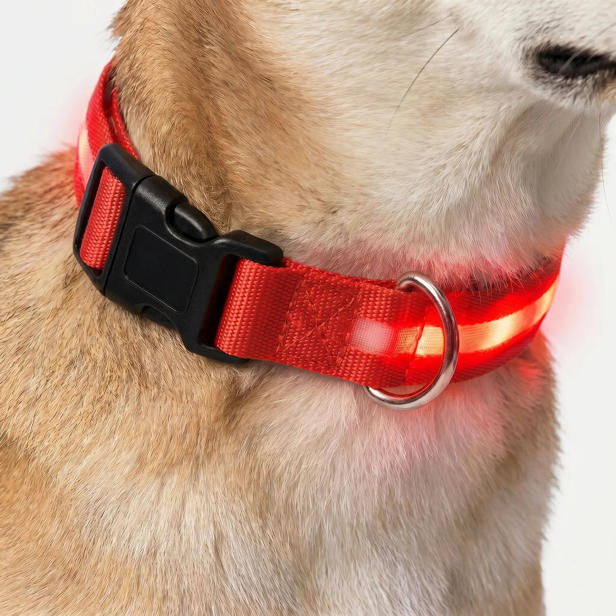 Genopladeligt LED Hundehalsbånd