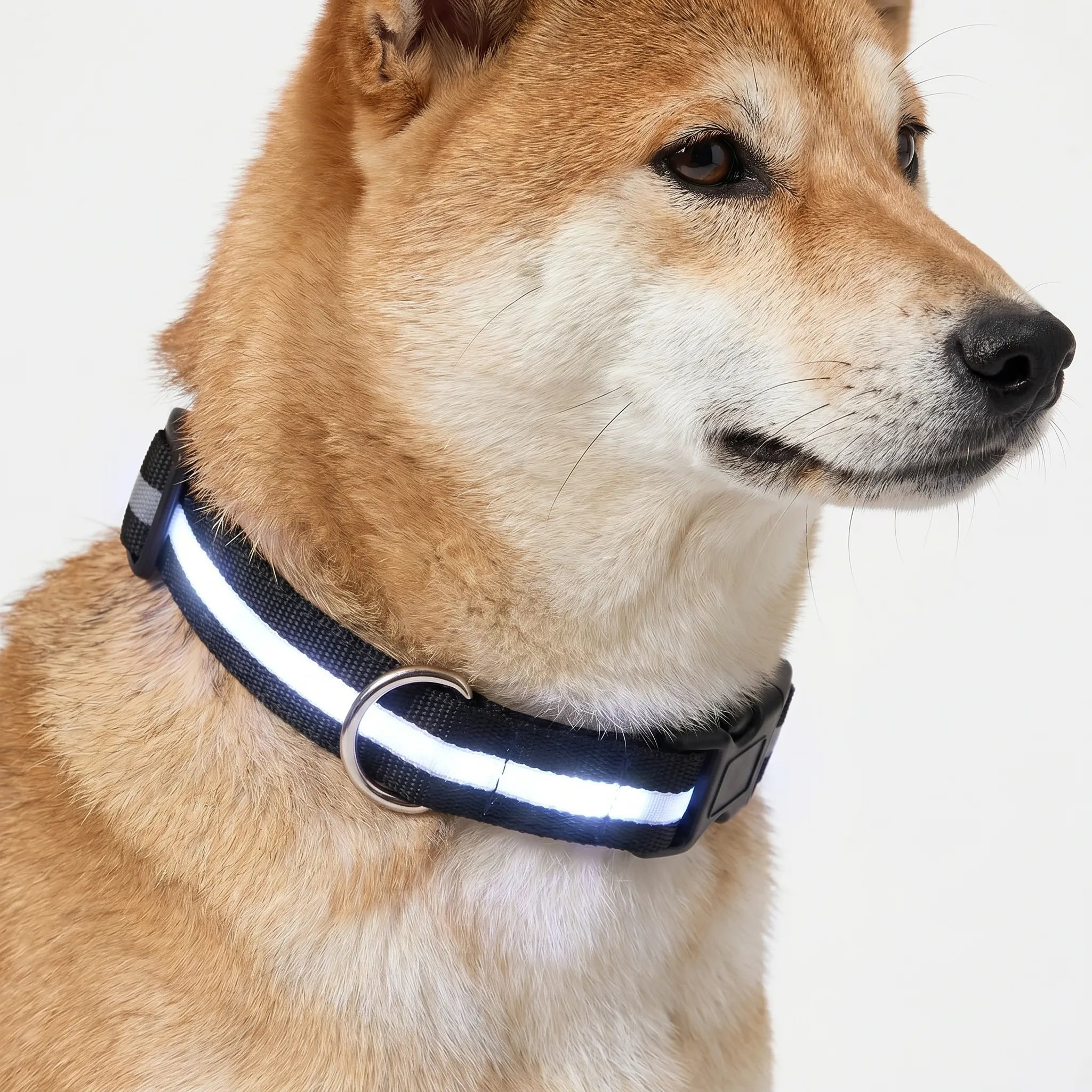 Genopladeligt LED Hundehalsbånd