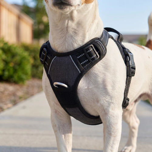 Justerbar Hundesele Med Brystring