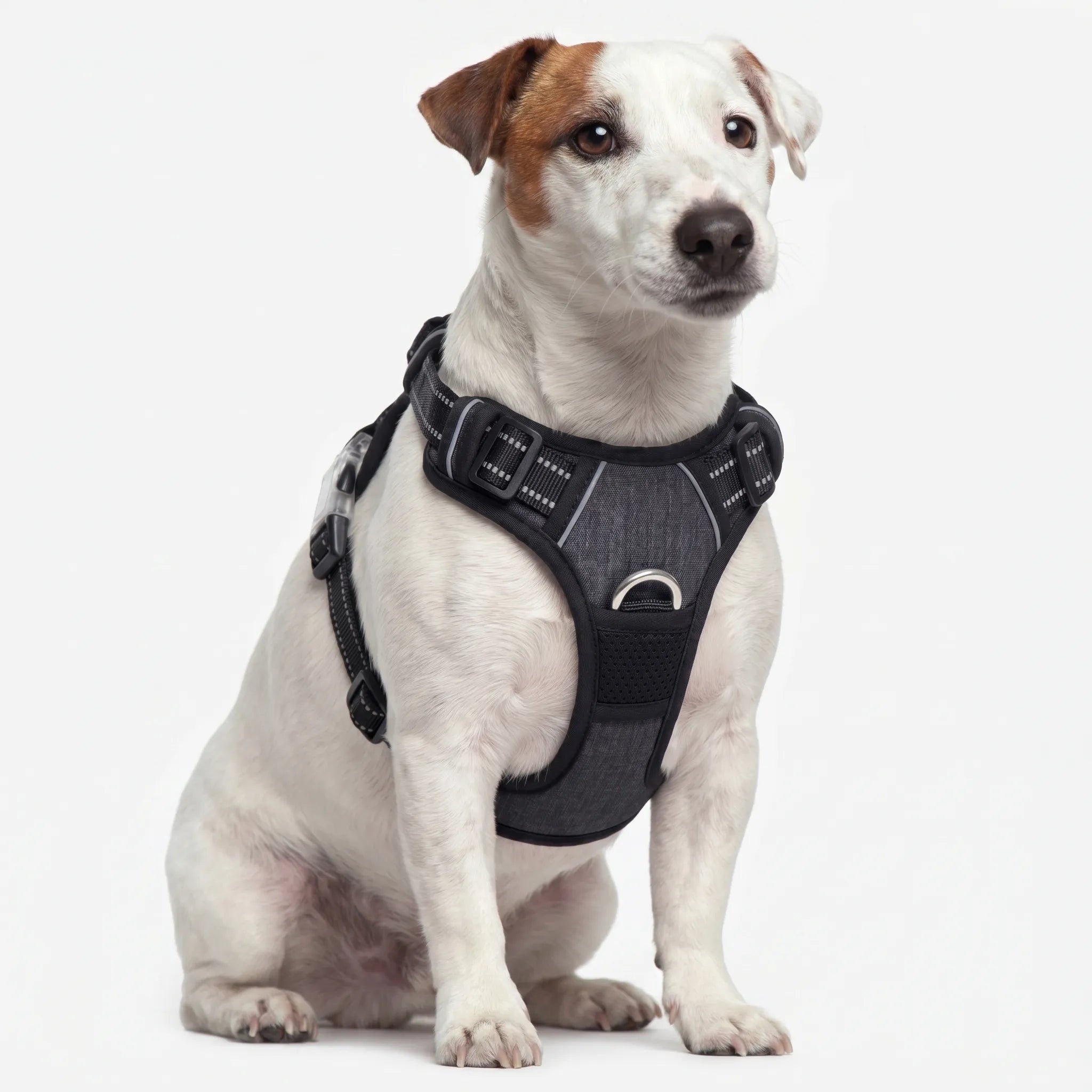 Justerbar Hundesele Med Brystring