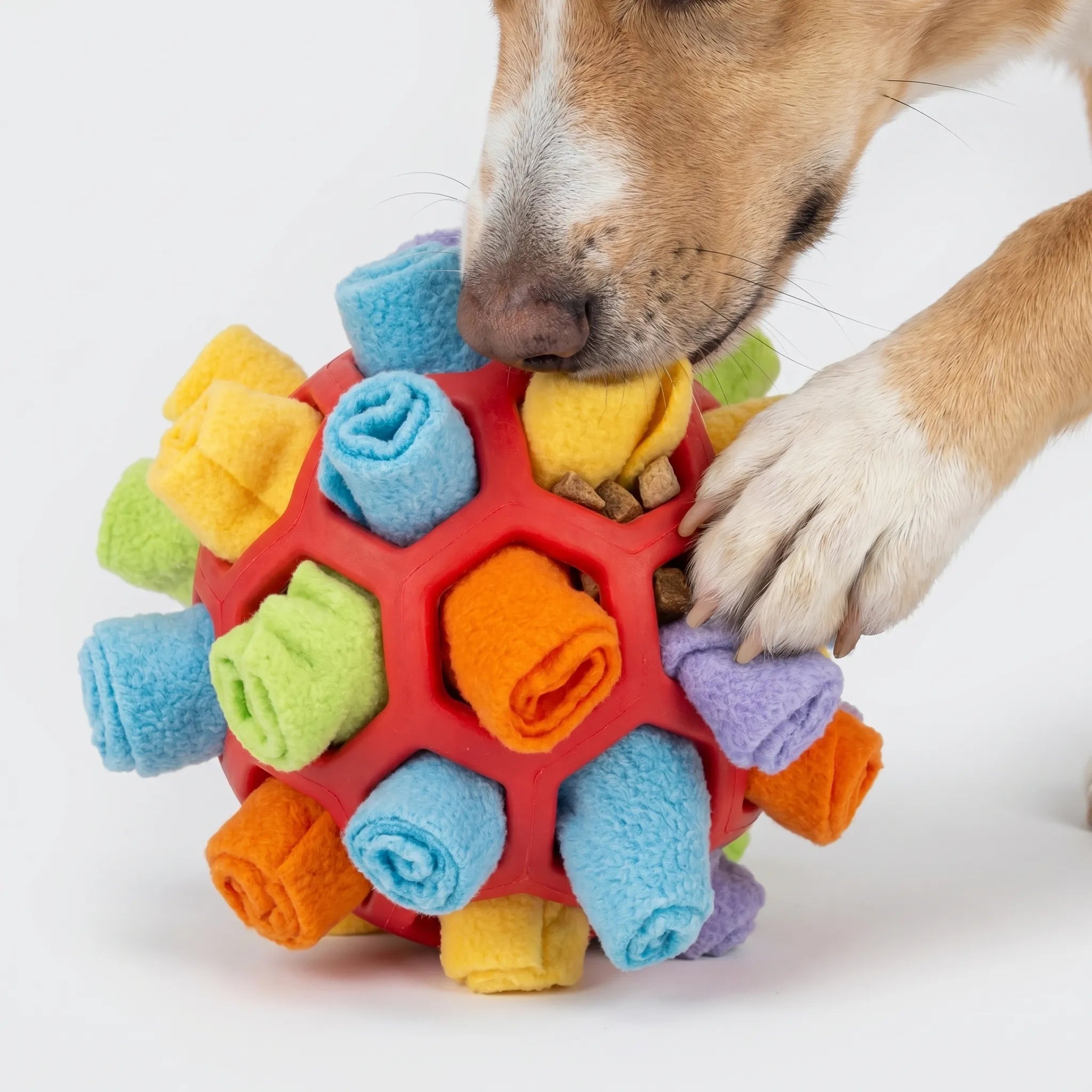 Snusebold Til Hunde