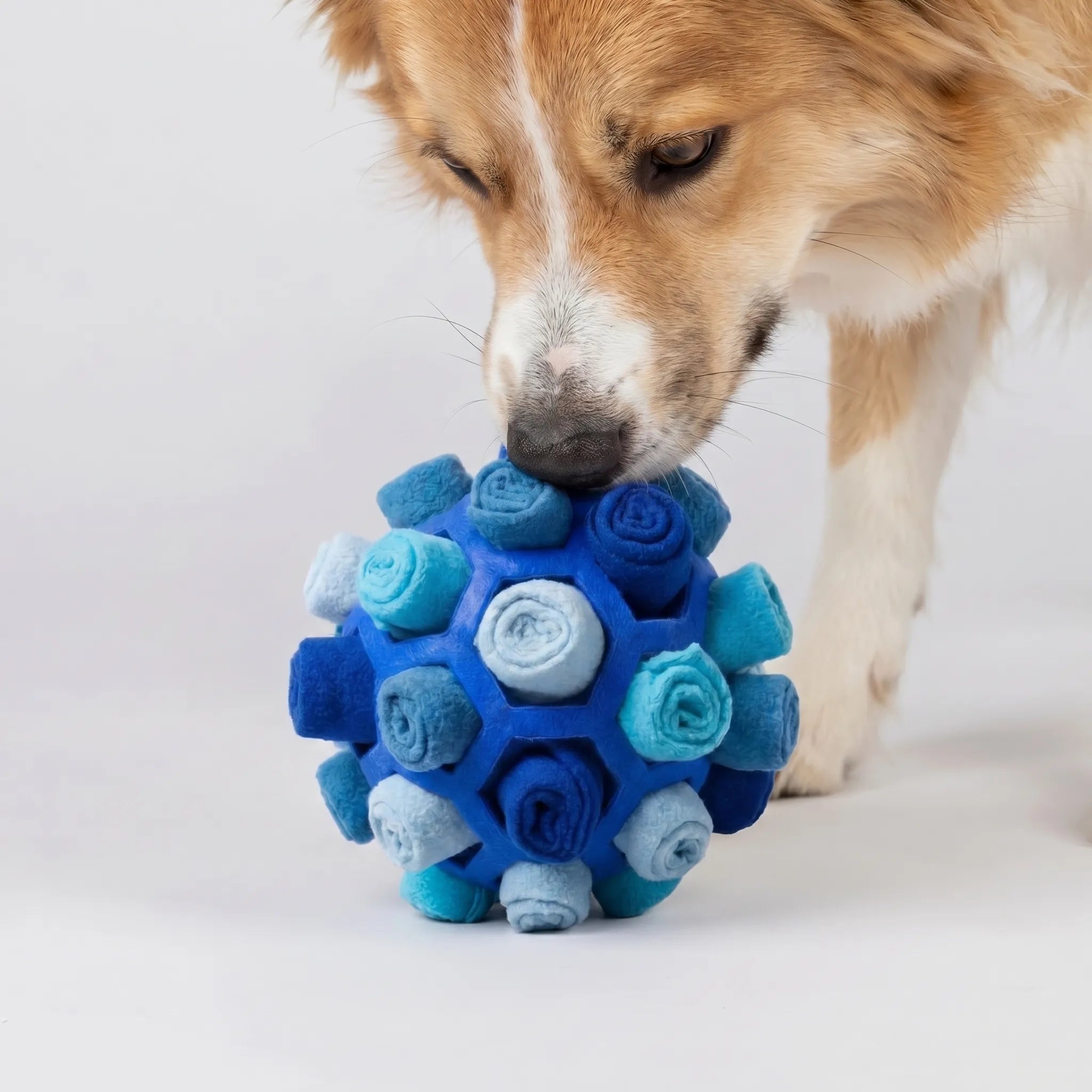 Snusebold Til Hunde