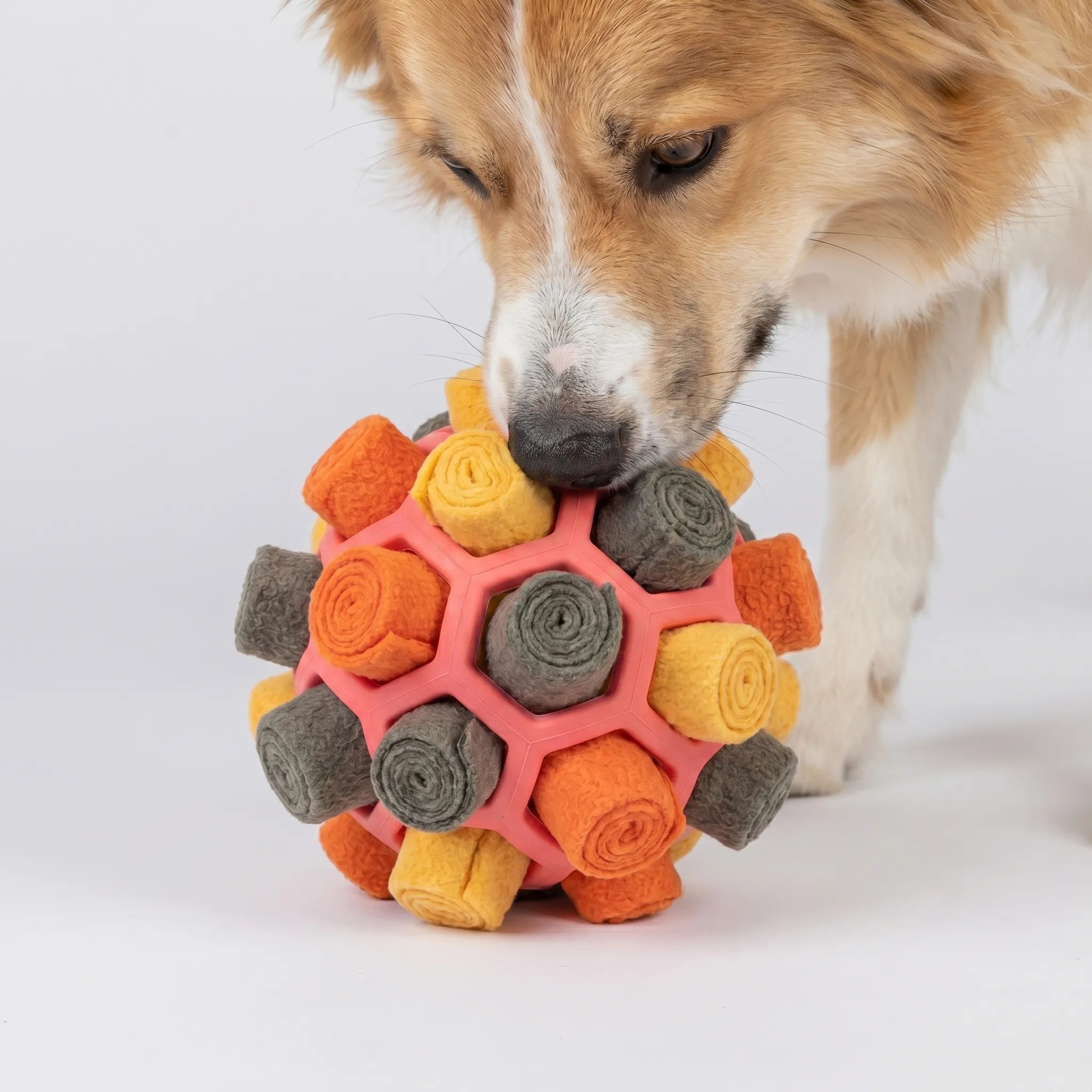Snusebold Til Hunde