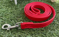 Flat Dog Leash