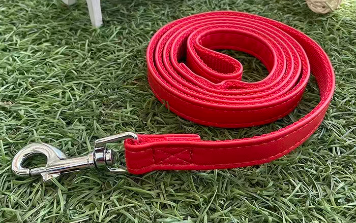 Flat Dog Leash